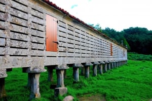 From Santiago: Finisterre, Muxia, & Costa da Morte Day Trip