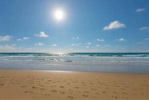 From A Coruna: Guided Day Trip to Lugo & As Catedrais Beach