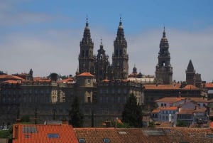 From La Coruna: Santiago de Compostela Shore Excursion