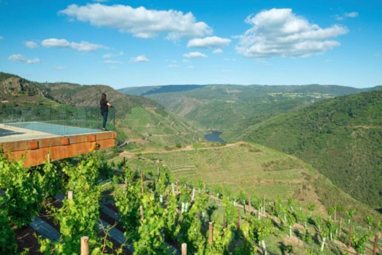 Vanuit Lugo: Halve dagtocht naar de Ribeira Sacra