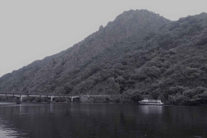 Vanuit Lugo: Halve dagtocht naar de Ribeira Sacra