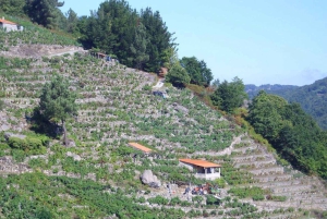 Vanuit Lugo: Halve dagtocht naar de Ribeira Sacra