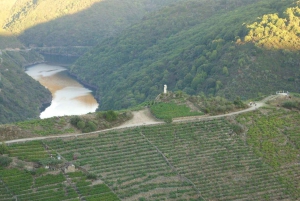 Vanuit Lugo: Halve dagtocht naar de Ribeira Sacra
