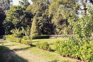 Från Lugo: Halvdagsutflykt till Viladonga Hillfort