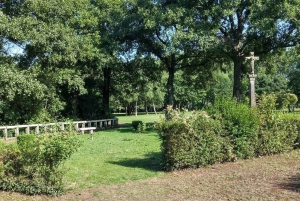 Från Lugo: Halvdagsutflykt till Viladonga Hillfort
