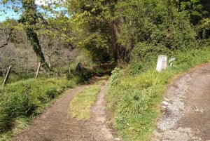 Fra Oviedo: Halvdags Camino de Santiago-vandring