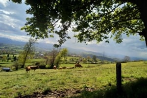 Depuis Oviedo : Randonnée d'une demi-journée sur le Camino de Santiago