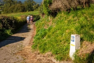 Fra Oviedo: Halvdags Camino de Santiago-vandring
