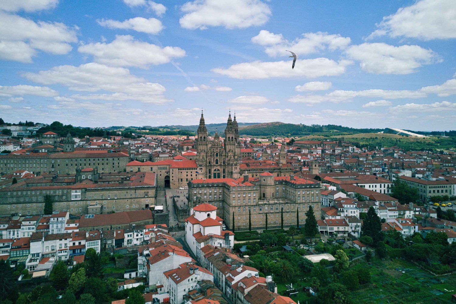 Desde Oporto: tour privado a Santiago de Compostela