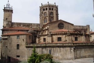 Fra Santiago: Udflugt til Ribeira Sacra og Ourense