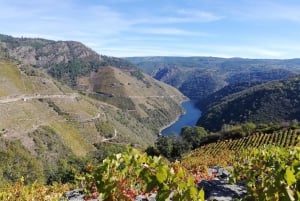 Vanuit Santiago: Excursie naar Ribeira Sacra en Ourense