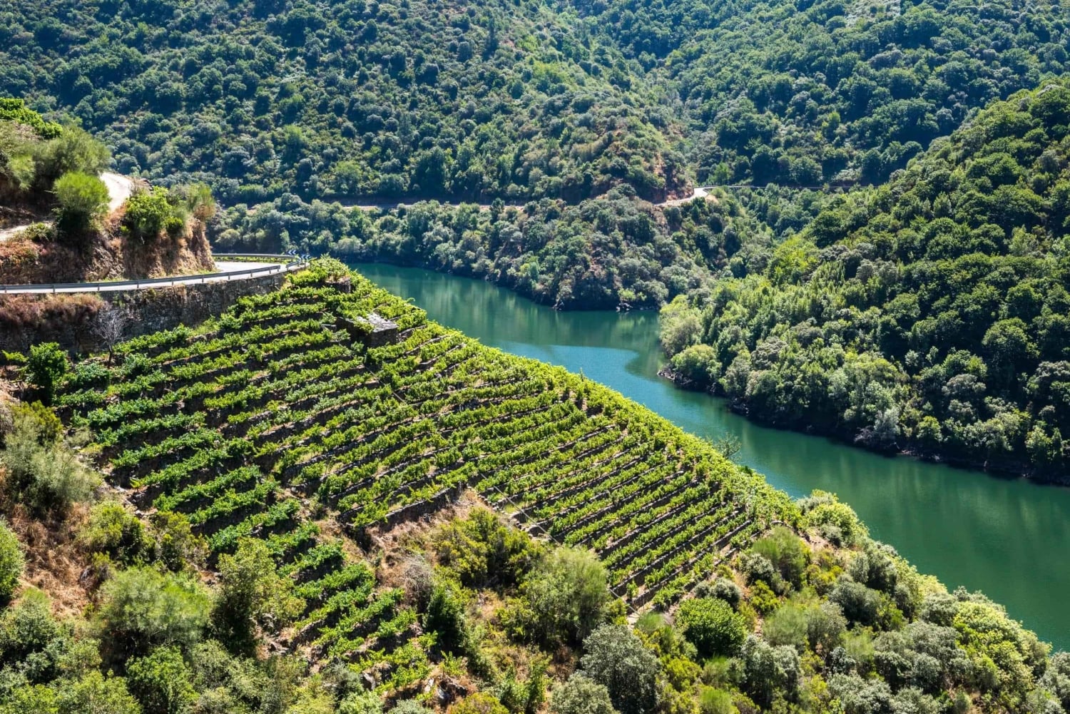 Från Santiago: Privat tur till Ribeira Sacra med båttur