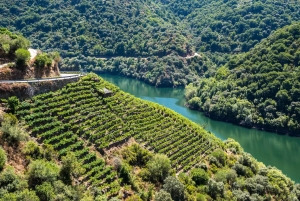 Från Santiago: Privat tur till Ribeira Sacra med båttur