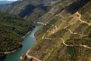 Från Santiago: Privat tur till Ribeira Sacra med båttur