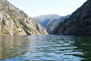 Från Santiago: Privat tur till Ribeira Sacra med båttur