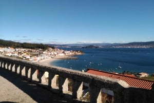 Depuis Santiago : Journée fruits de mer et vins de Rías Baixas en Galice