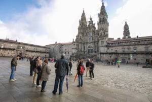 Full-Day Excursion to Santiago from Vigo- Cruisers Only