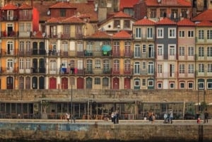 Excursion d'une journée à Porto depuis Saint-Jacques-de-Compostelle