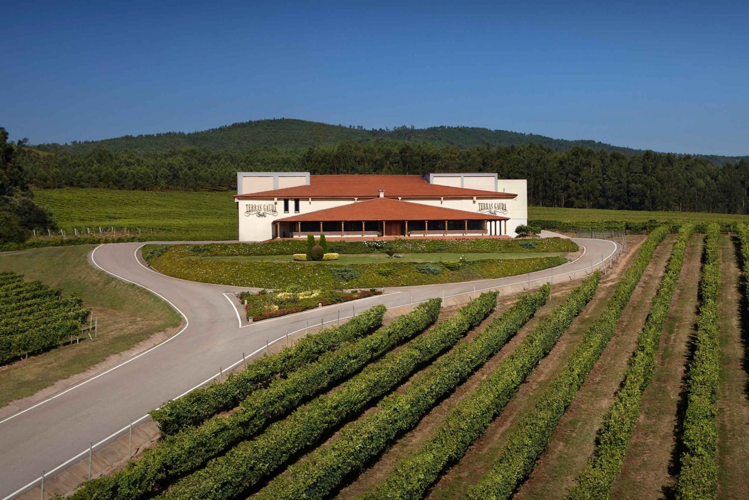 Galicien: Gruppen-Weinkellerei-Tour und Verkostung