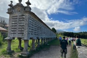 Tour privato dalla Galizia alle Asturie di 4 giorni