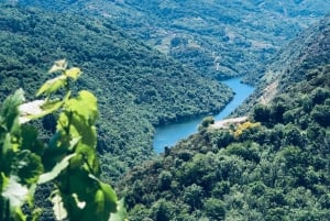 Privat resa från Galicien till Asturien 4 dagar