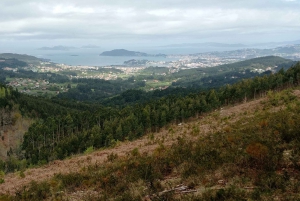 Gallaecian-Roman gold mining in Serra da Groba Tour