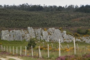 Exploitation aurifère gallo-romaine dans la Serra da Groba Tour