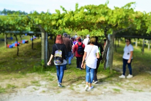 Granbazán Winery: Guided Tour and Wine Tasting