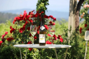 Granbazán Winery: Guided Tour and Wine Tasting