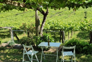 Granbazán Winery: Guided Tour and Wine Tasting