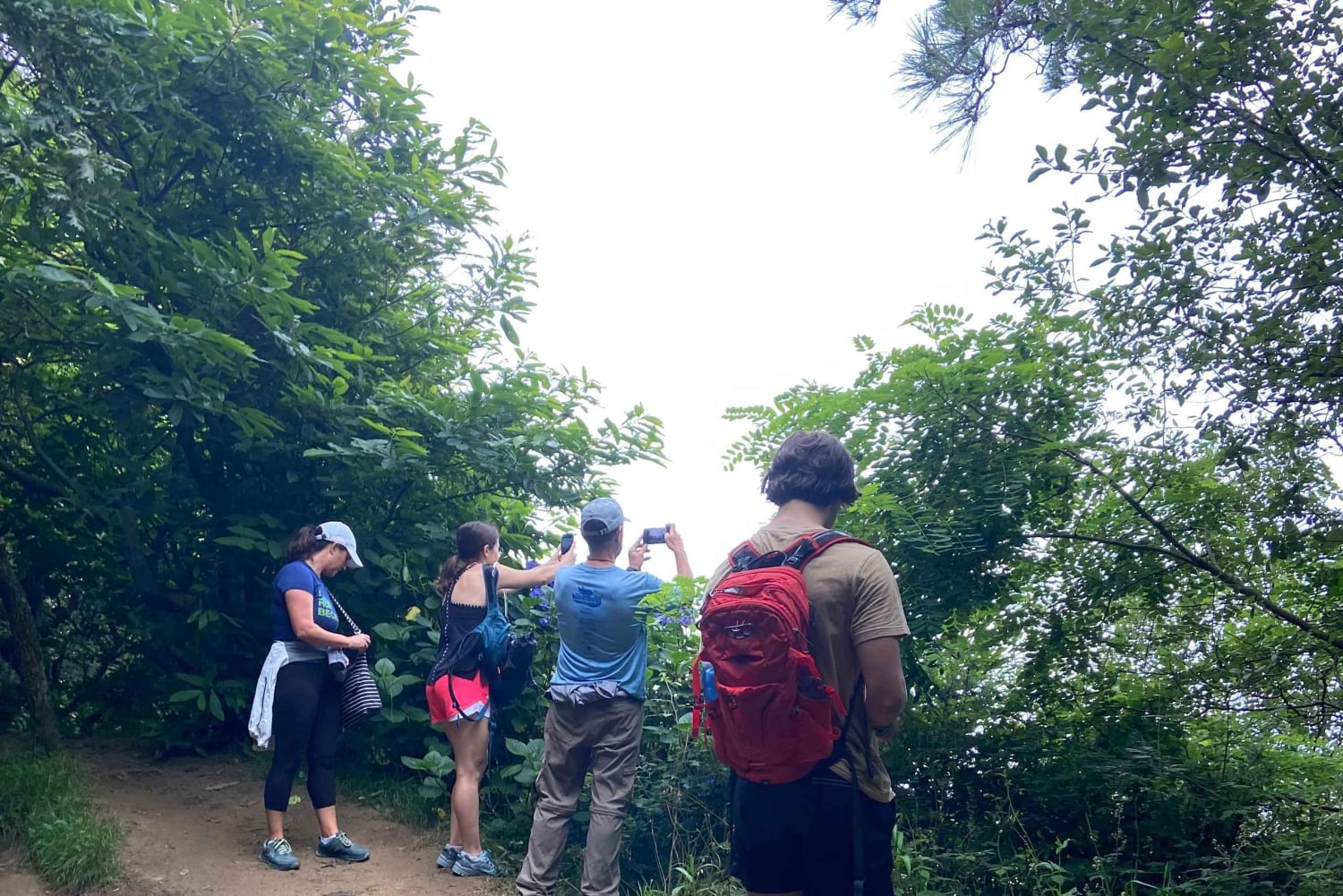 Vandring Ulia | San Sebastian: El Camino de Santiago (Jakobsveien)