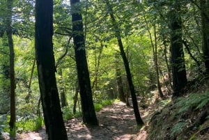 Hike Ulia | San Sebastian: El Camino de Santiago (The Way)