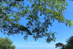 Vandring Ulia | San Sebastian: El Camino de Santiago (Jakobsveien)