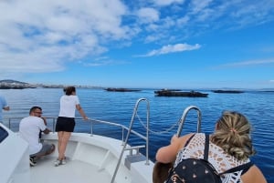 La Toja: Båttur vid Arousas flodmynning med musselprovning