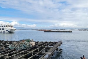 La Toja: Bootstour an der Arousa-Mündung mit Muschelverkostung