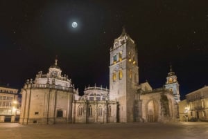 Lugo: ingresso para a Catedral de Santa Maria e guia de áudio