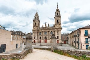 Lugo: Santa Maria-katedralen: Inträdesbiljett och audioguide
