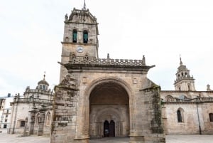 Lugo: Santa Maria-katedralen: Adgangsbillet og audioguide