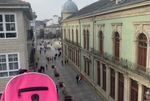 ЛУГО: ЭКСКУРСИЯ ПО ЛУГО, ВКЛЮЧАЮЩАЯ ВХОД В КАТЕДРАЛЬНЫЙ СОБОР И ДОМУС