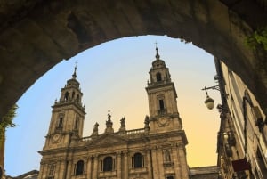 ЛУГО: ЭКСКУРСИЯ ПО ЛУГО, ВКЛЮЧАЮЩАЯ ВХОД В КАТЕДРАЛЬНЫЙ СОБОР И ДОМУС