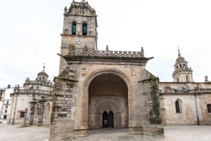 Lugo: St. Mary's Cathedral Guided Tour 'Walk in the clouds'