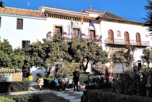 Marbella: Private Walking Tour