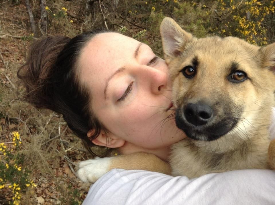 Mino Vally Farm Sanctuary