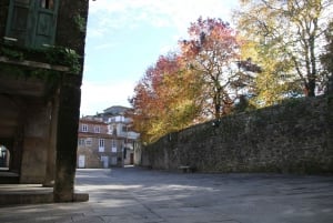 NEW!! Pontevedra: Private Walking Tour with local guide