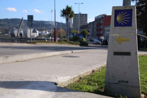 NEW!! Pontevedra: Private Walking Tour with local guide