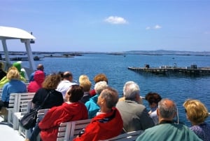 O Grove: Boat Tour with Mussel Tasting and Wine