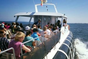 О-Грове: экскурсия на лодке с дегустацией мидий и вином
