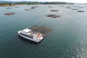 O Grove: Tour en barco con cata de mejillones y vino