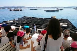 O Grove: Tour en barco con cata de mejillones y vino