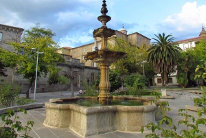 Ourense: tour privado a pie por la ciudad de 2 horas
